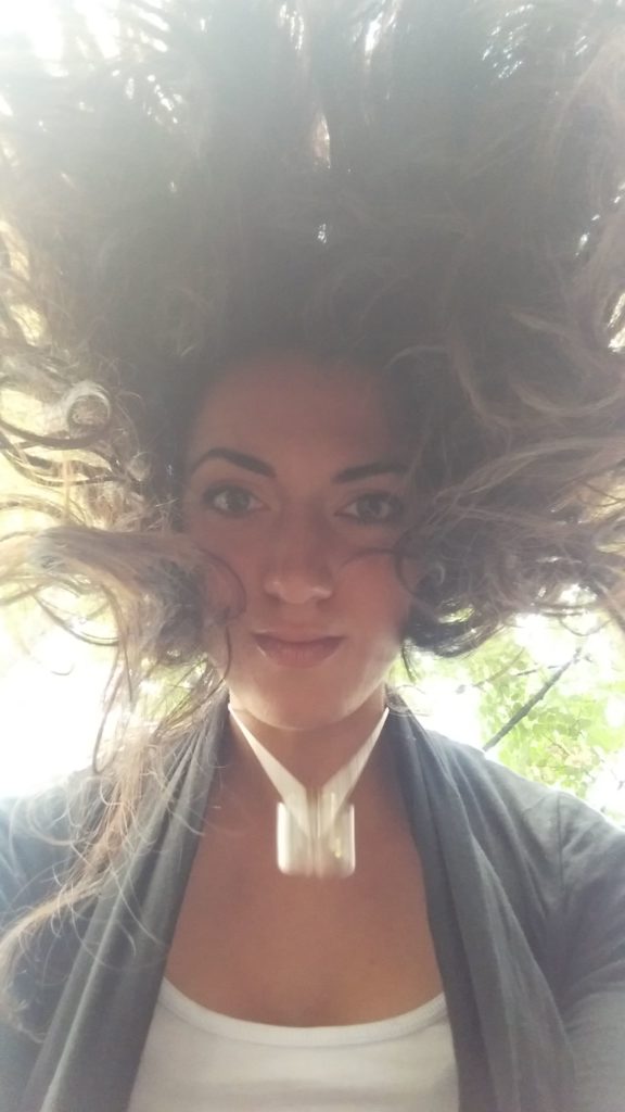 sarah-desmonen_alpaganda